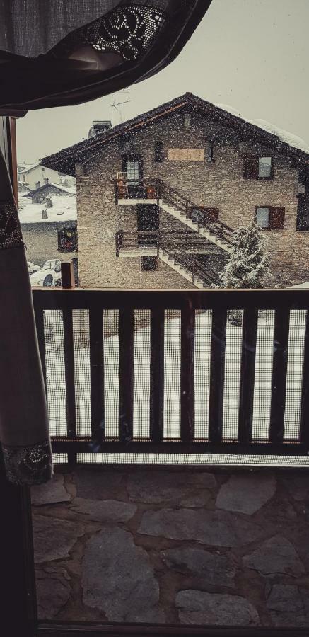Snowy Wood
